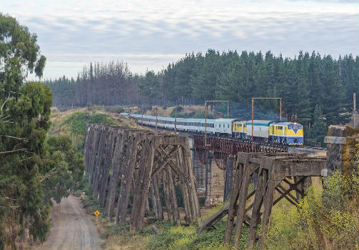 Rio Claro Railway Bridge