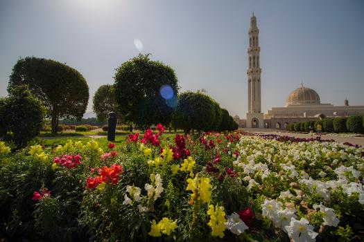 The Sultan Qaboos Grand Mosque is the main Mosque in the Sultanate of Oman. It is in the capital city of Muscat.