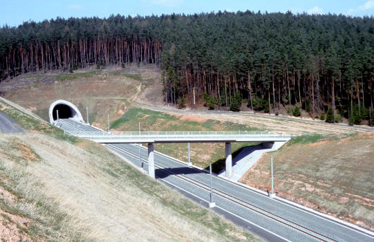 Sulzhoftunnel