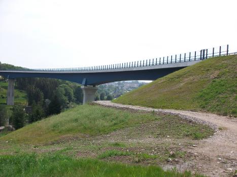 Viaduc de Markersbach (B 101)