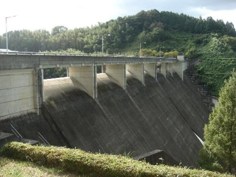 Taman Dam
