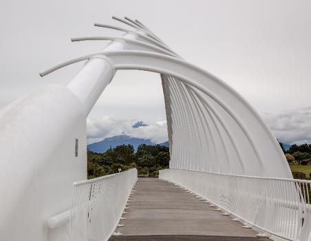Pont Te Rewa Rewa