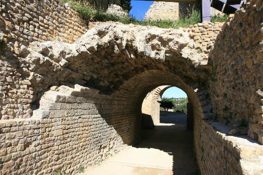 Tour de l'évèque et amphithéatre d'Avenches