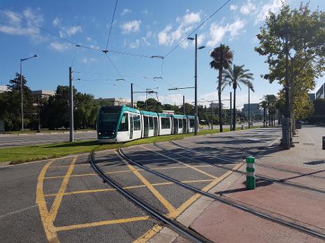 Barcelona Tramways