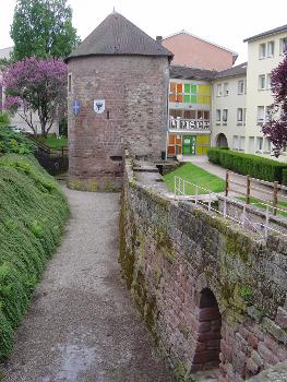 Vestiges de l'enceinte médiévale et musée du Chapitre à Épinal.