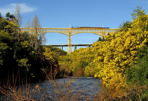 Viaduc du Malleco