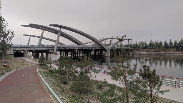 Pont Xinyuan