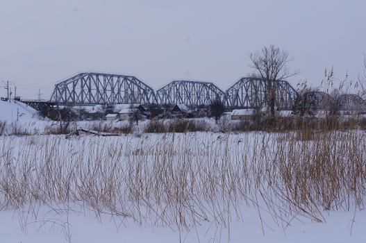 Nedanchychi Rail Bridge