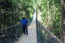 Foxfire Mountain Trail Bridge