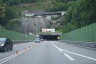 Tunnel du Pfänder