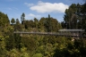 Arapuni Suspension Bridge