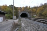 Tunnel de Freudenstein