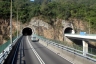 Shing Mun Tunnels (East)