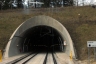 Tunnel d'Irlahüll