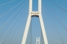 Wuhan Junshan Yangtze River Bridge