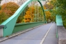 Lavey-les-Bains Bridge