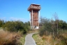 Black Moor Observation Tower
