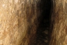 Siloam's Tunnel