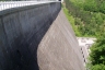Rappbode Dam