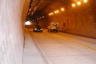 Misael Pastrana Borrero Tunnel