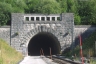 Tunnel du Mont-d'Or