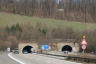 Tunnel de Hölzern