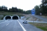 Tunnel de Leutenbach