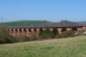 Wommen Viaduct