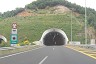 Tunnel S 4