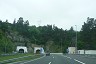 Zaldibar-Tunnel