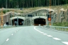 Tervakorpi Tunnel