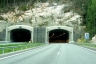 Tunnel Pitkämäki