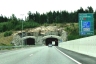 Tunnel de Lehmihaka