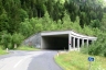 Tunnel de Cellonrinne 2