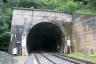 Tunnel de Sankt Jodok