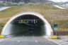 Tunnel Boscaccio