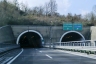 Tunnel Brancolano