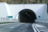 Castagna Tunnel