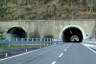 Tunnel de Massa