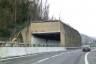 Tunnel de Monte Frassino 1