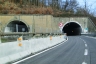Montespicchio 2 Tunnel