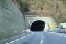 Montespicchio 1 Tunnel
