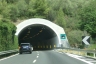 Bardellina Tunnel