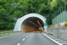 Tunnel de Boissano