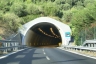 Tunnel Cardellina