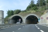 Coldirodi Tunnel