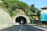 Del Monte-Tunnel