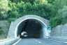 Fasce Lunghe Tunnel