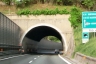 Marotta Tunnel
