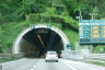 Tunnel de Provenzale
